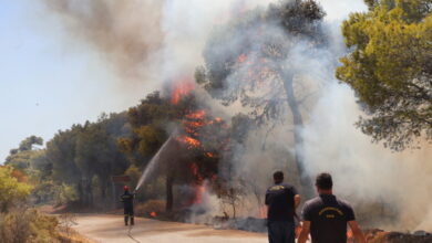 Φωτιά-στη-Νεάπολη-Αγρινίου:-Μεγάλη-κινητοποίηση-της-πυροσβεστικής