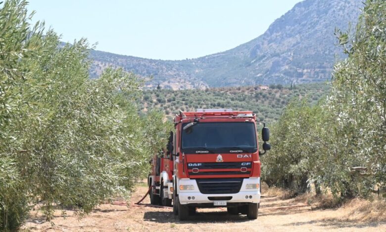 Φωτιά-στην-Οινόη-ξέσπασε-τα-ξημερώματα:-Τέθηκε-γρήγορα-υπό-έλεγχο