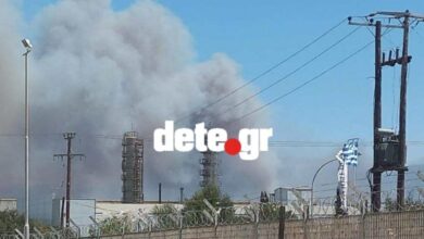 Φωτιά-στην-Πάτρα:-Οι-φλόγες-καίνε-πίσω-από-τη-ΒΙΠΕ-–-Σφοδροί-άνεμοι-πνέουν-στην-περιοχή