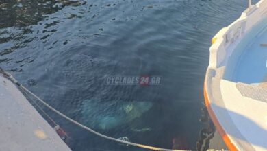 Σύρος:-Αυτοκίνητο-χωρίς-επιβαίνοντες-έπεσε-στη-θάλασσα-–-Ο-οδηγός-δεν-είχε-βάλει-χειρόφρενο