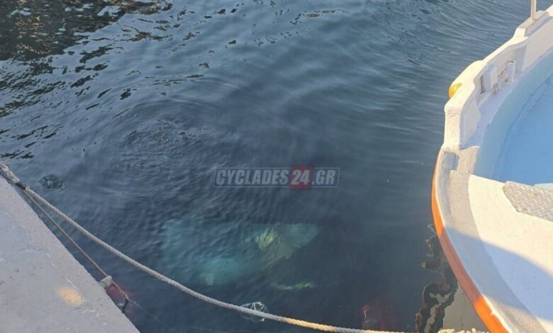 Σύρος:-Αυτοκίνητο-χωρίς-επιβαίνοντες-έπεσε-στη-θάλασσα-–-Ο-οδηγός-δεν-είχε-βάλει-χειρόφρενο
