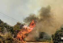 Καιρός:-Επιμένουν-τα-7-μποφόρ-στο-Αιγαίο,-έως-39-βαθμούς-η-θερμοκρασία-–-Πολύ-υψηλός-κίνδυνος-για-φωτιά-σε-10-περιφέρειες