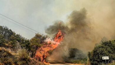 Καιρός:-Επιμένουν-τα-7-μποφόρ-στο-Αιγαίο,-έως-39-βαθμούς-η-θερμοκρασία-–-Πολύ-υψηλός-κίνδυνος-για-φωτιά-σε-10-περιφέρειες