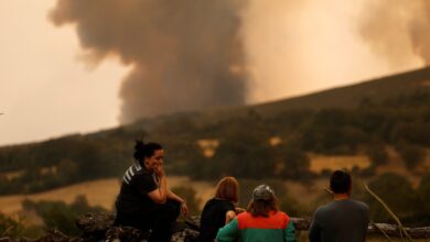 Η-Ισπανία-αντιμετωπίζει-14-μεγάλες-πυρκαγιές-με-«δυσμενείς-συνθήκες»