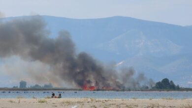 Φωτιά-στον-Δήμο-Νέστου-κοντά-στην-Κεραμωτή-–-Πνέουν-ισχυροί-άνεμοι