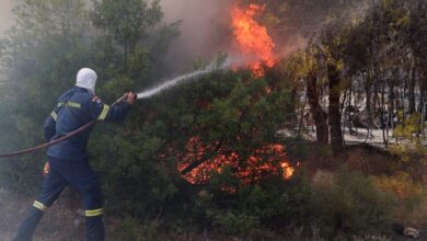Αργολίδα:-Με-κάταγμα-σε-σπόνδυλο,-γόνατο-και-φτέρνα-ο-πυροσβέστης-που-τραυματίστηκε-κατά-την-κατάσβεση-φωτιάς