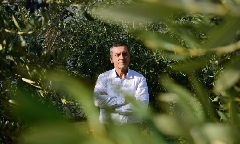 Δημήτρης-Κουρέτας:-Στόχος-μας-η-αύξηση-του-τουριστικού-ρεύματος-στη-Θεσσαλία-κατά-50%-μέχρι-το-2030