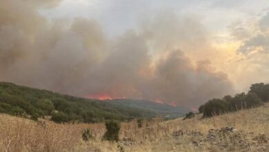 Ζάρκο:-Υπό-έλεγχο-η-φωτιά-που-ξεκίνησε-από-το-Δαμάσι