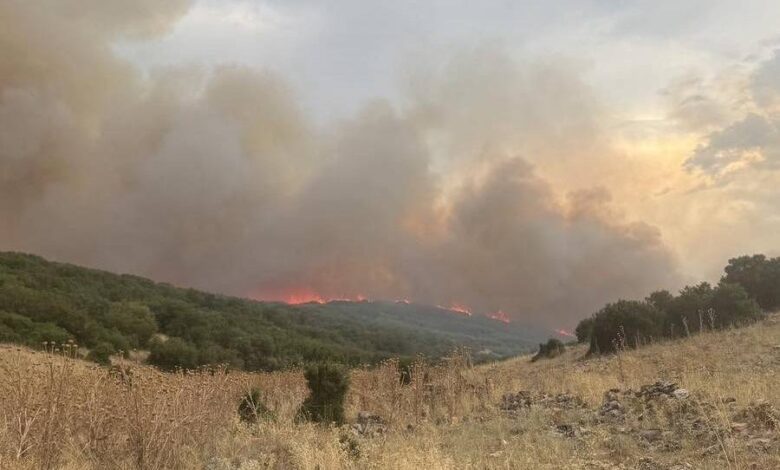Ζάρκο:-Υπό-έλεγχο-η-φωτιά-που-ξεκίνησε-από-το-Δαμάσι