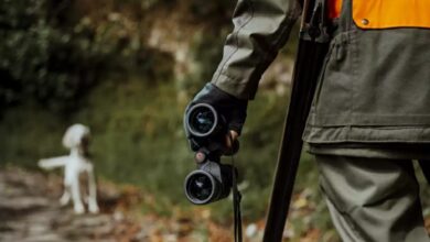 Ξεκίνησε-σήμερα-η-κυνηγετική-περίοδος-2025-2026:-Νέοι-κανόνες,-περιορισμοί-και-εθνικά-όρια