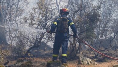 Λέσβος:-Για-λόγους-αντεκδίκησης-έβαζε-τις-φωτιές-ο-57χρονος-–-Τι-αναφέρει-στην-ομολογία-του