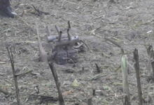 Πολωνία:-drone-έπεσε-στην-επαρχία-Λούμπλιν-και-εκτιμάται-ότι-προέρχεται-από-τη-Ρωσία