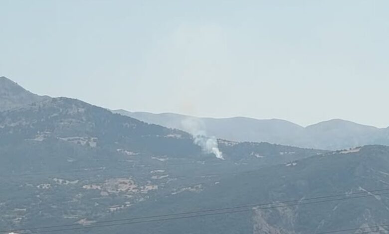 Φωτιά-στα-Μιντζαίικα-Αχαΐας-–-Σηκώθηκαν-εναέρια-μέσα