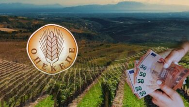 46.000-ευρώ-σε-αγρότισσα-της…-Καισαριανής-–-Μίσθωνε-ανύπαρκτες-εκτάσεις-στα-Τρίκαλα