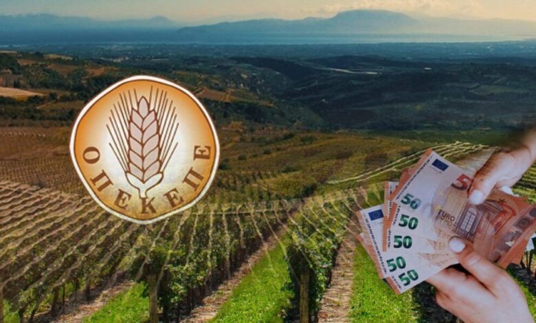 46.000-ευρώ-σε-αγρότισσα-της…-Καισαριανής-–-Μίσθωνε-ανύπαρκτες-εκτάσεις-στα-Τρίκαλα