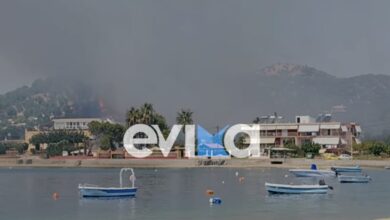 Φωτιά-στην-Εύβοια-κοντά-στην-Αιδηψό-–-Ισχυρές-πυροσβεστικές-δυνάμεις-στο-σημείο