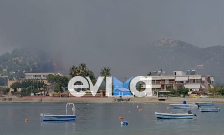 Φωτιά-στην-Εύβοια-κοντά-στην-Αιδηψό-–-Ισχυρές-πυροσβεστικές-δυνάμεις-στο-σημείο