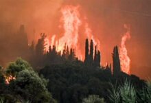 Στάχτη-πάνω-από-10-εκατομμύρια-στρέμματα-στην-Ευρώπη-από-την-αρχή-του-2025