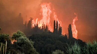 Στάχτη-πάνω-από-10-εκατομμύρια-στρέμματα-στην-Ευρώπη-από-την-αρχή-του-2025