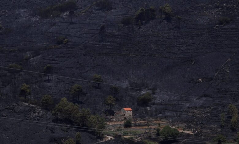 Φωτιές-στην-Πορτογαλία:-Έγιναν-στάχτη-600000-στρέμματα-–-1.600-πυροσβέστες-στη-μάχη