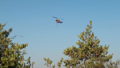 Πύρινο-μέτωπο-στην-Κρύα-Βρύση-Καρδίτσας-–-Περιορίστηκε-η-φωτιά