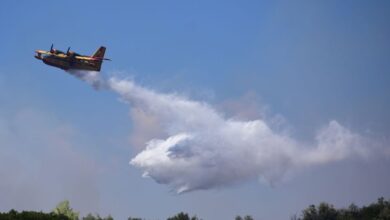 Φωτιά-στη-Θεσπρωτία-στην-περιοχή-Ράγιο-–-Ήχησε-το-112-στα-κινητά-των-κατοίκων