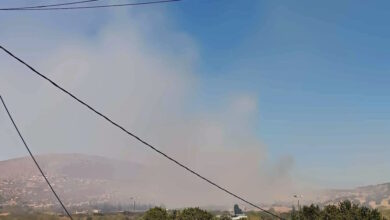 Φωτιά-στην-Παλιοκαμάριζα-Κερατέας-–-Ισχυρές-δυνάμεις-της-Πυροσβεστικής-στην-περιοχή,-μήνυμα-του-112-για-εκκένωση-του-Θορικού