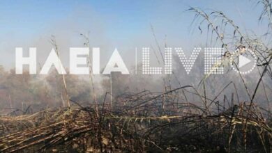 Ηλεία:-Φωτιά-με-δύο-ενεργές-εστίες-στην-περιοχή-Καλύβια-–-Επιχειρούν-42-πυροσβέστες-με-17-οχήματα