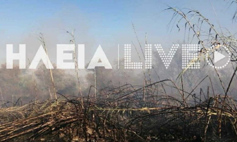 Ηλεία:-Φωτιά-με-δύο-ενεργές-εστίες-στην-περιοχή-Καλύβια-–-Επιχειρούν-42-πυροσβέστες-με-17-οχήματα