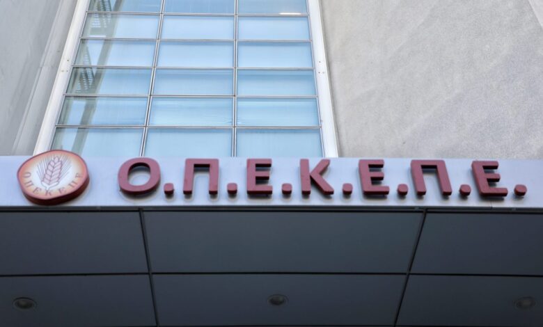 ΟΠΕΚΕΠΕ:-Πάνω-από-10-εκατομμύρια-σε-δύο-ΑΦΜ-μέσα-σε-5-χρόνια-(βίντεο)