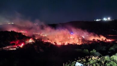 Υπό-έλεγχο-η-φωτιά-στη-Σαλαμίνα-στην-περιοχή-Βασιλικά-–-Ισχυρές-δυνάμεις-στο-σημείο,-μήνυμα-από-το-112