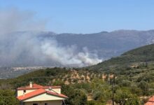 Φωτιά-στη-Μεσσηνία:-Σηκώθηκαν-και-εναέρια-για-την-πυρκαγιά-στον-Μελιγαλά