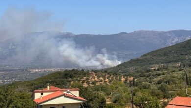 Φωτιά-στη-Μεσσηνία:-Σηκώθηκαν-και-εναέρια-για-την-πυρκαγιά-στον-Μελιγαλά