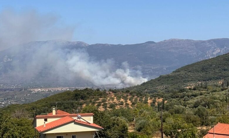 Φωτιά-στη-Μεσσηνία:-Σηκώθηκαν-και-εναέρια-για-την-πυρκαγιά-στον-Μελιγαλά
