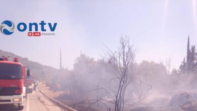 Φωτιά-στην-Πράγα-και-Πρέβεζα:-Επιχειρούν-ισχυρές-εναέριες-δυνάμεις-–-Ήχησε-το-112-για-«ετοιμότητα»-σε-Αηδόνι,-Νάρκισσο-και-Βουβοπόταμο