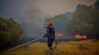Φωτιά-στα-Γρεβενά:-Μεγάλη-η-κινητοποίηση-της-πυροσβεστικής-–-Ήχησε-το-112