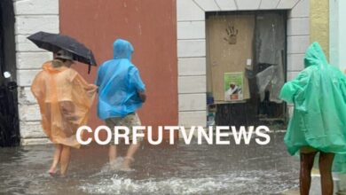 Ισχυροί-άνεμοι-πλήττουν-τη-Δυτική-Ελλάδα:-Φωτιές-και-πτώσεις-δέντρων-στην-Κοζάνη-–-Διακοπές-ρεύματος-και-προβλήματα-στις-πτήσεις-στην-Κέρκυρα