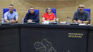 Η-Θεσσαλία-ζητά-επανεξέταση-για-την-1η-Στρατιά