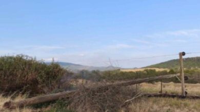 Τρίκαλα:-Οι-ισχυροί-άνεμοι-έσπασαν-στύλους-ηλεκτροδότησης-στα-Χάσια-–-Δείτε-εικόνες