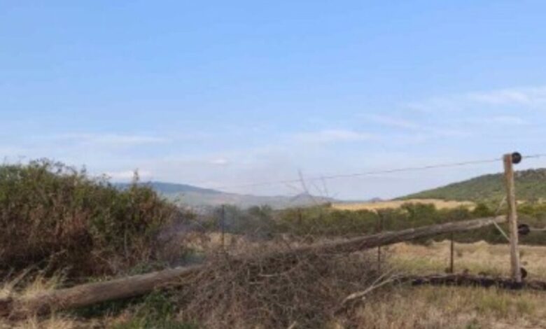 Τρίκαλα:-Οι-ισχυροί-άνεμοι-έσπασαν-στύλους-ηλεκτροδότησης-στα-Χάσια-–-Δείτε-εικόνες