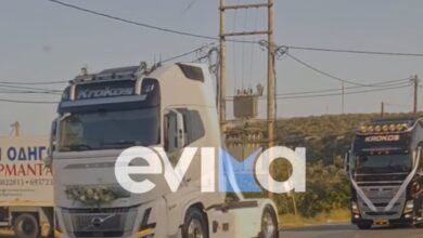Γάμος-με-17-φορτηγά-ξεσήκωσε-το-Αλιβέρι-στην-Εύβοια-–-Η-πορεία-με-κορναρίσματα-και-ανοικτούς-προβολείς