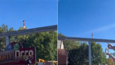 viral-βίντεο-με-μικρό-αγόρι-να-περπατά-μόνο-του-σε-ράγες-τρένου-στις-ΗΠΑ-σε-ύψος-6-μέτρων-–-Άνδρας-πήδηξε-και-το-έσωσε