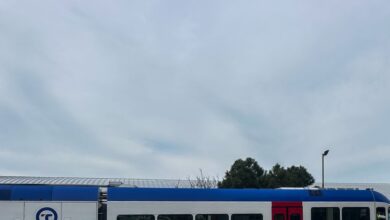 hellenic-train:-Τρένο-παρέσυρε-κοπάδι-ζώων-στην-Αλίαρτο-Καλά-στην-υγεία-τους-οι-400-επιβάτες-και-το-προσωπικό