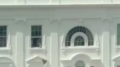 Λευκός-Οίκος:-viral-βίντεο-με-μυστηριώδη-αντικείμενα-να-εκτοξεύονται-από-παράθυρο-της-προεδρικής-κατοικίας