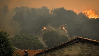 Πάνω-από-470.000-στρέμματα-οι-καμένες-εκτάσεις-από-τις-φωτιές-του-2025-–-Η-5η-χειρότερη-χρονιά-από-το-2006