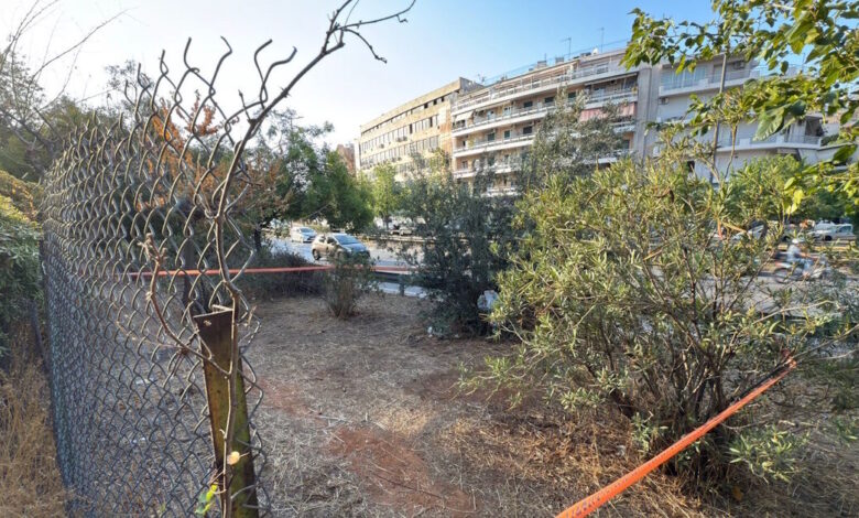 Θρίλερ-με-το-30-ημερών-μωρό-που-βρέθηκε-παρατημένο-στην-Ακρόπολη-–-Οι-ομοιότητες-με-το-περιστατικό-του-βρέφους-στον-Άλιμο