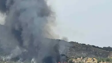 Φωτιά-στην-Θεσσαλονίκη-στον-Χορτιάτη:-Επιχειρούν-ισχυρές-δυνάμεις-–-Ήχησε-το-112-για-«ετοιμότητα»