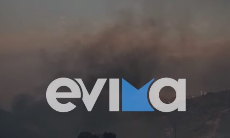 Φωτιά-στην-Εύβοια-στο-Βατήσι-Καρύστου-–-Μάχη-με-τις-φλόγες-και-τον-άνεμο-δίνουν-οι-πυροσβέστες