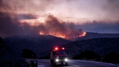Φωτιά-στο-Πετρωτό-Φθιώτιδας-–-Ισχυρές-πυροσβεστικές-δυνάμεις-στο-σημείο