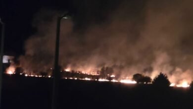 Φωτιά-στη-Λάρισα-κοντά-στο-Νέο-Κοιμητήριο-και-τις-φυλακές-–-Κινητοποίηση-της-Πυροσβεστικής
